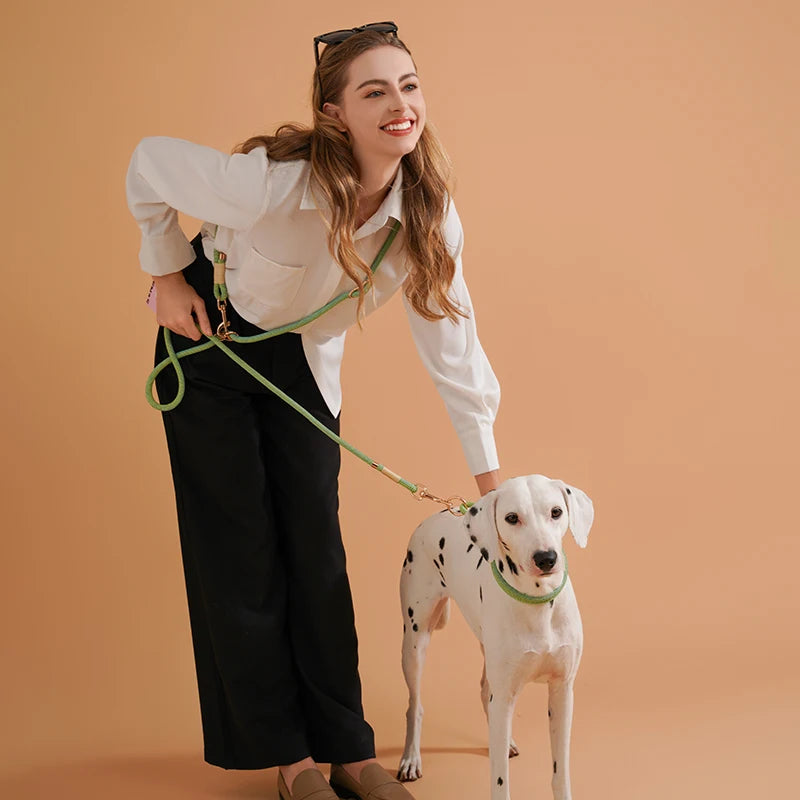 Laisse pour chien ajustable en nylon et tendance été